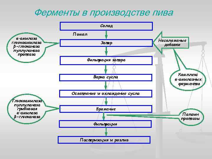 Схема производства ферментов