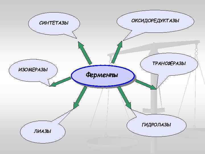 Биотехнологическая схема получения ферментов