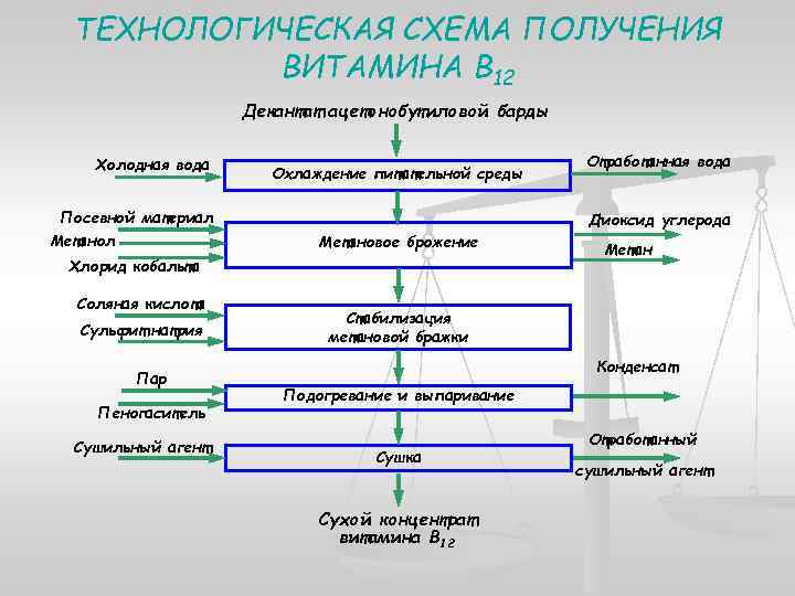 Биотехнология получения витаминов презентация