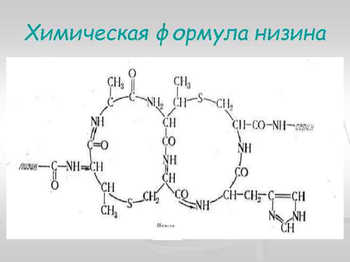 Химическая формула низина 