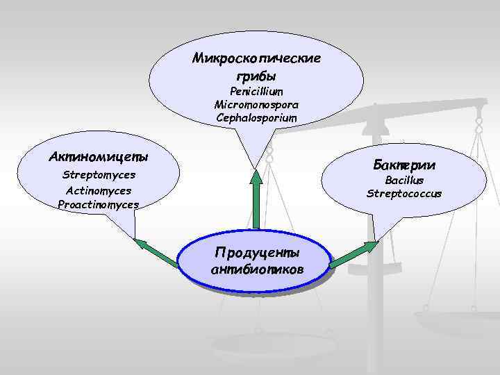 Микроскопические грибы Penicillium Micromonospora Cephalosporium Актиномицеты Бактерии Streptomyces Actinomyces Proactinomyces Bacillus Streptococcus Продуценты антибиотиков