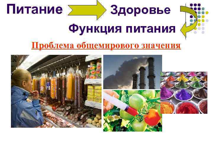 Питание Здоровье Функция питания Проблема общемирового значения 