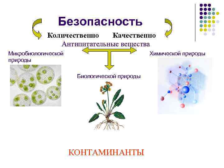 Безопасность Количественно Качественно Антипитательные вещества Микробиологической природы Химической природы Биологической природы КОНТАМИНАНТЫ 
