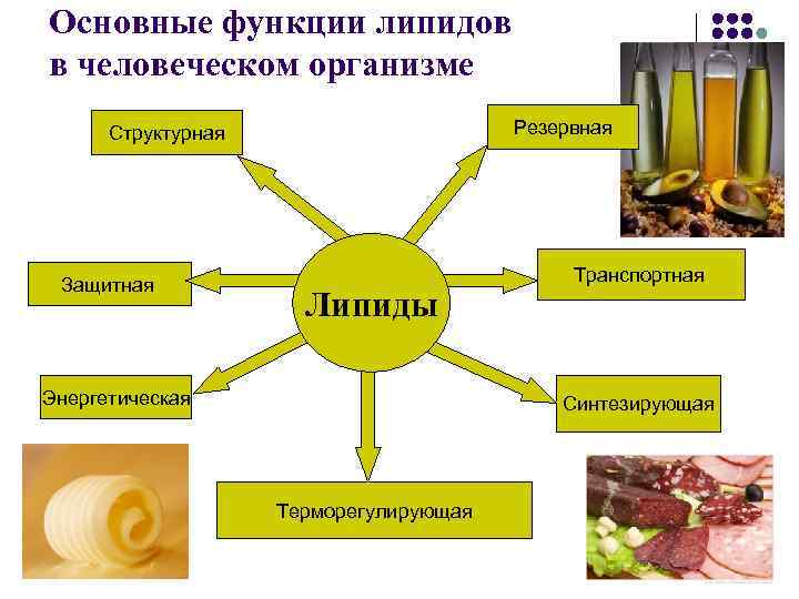 Основные функции липидов в человеческом организме Резервная Структурная Защитная Липиды Энергетическая Транспортная Синтезирующая Терморегулирующая