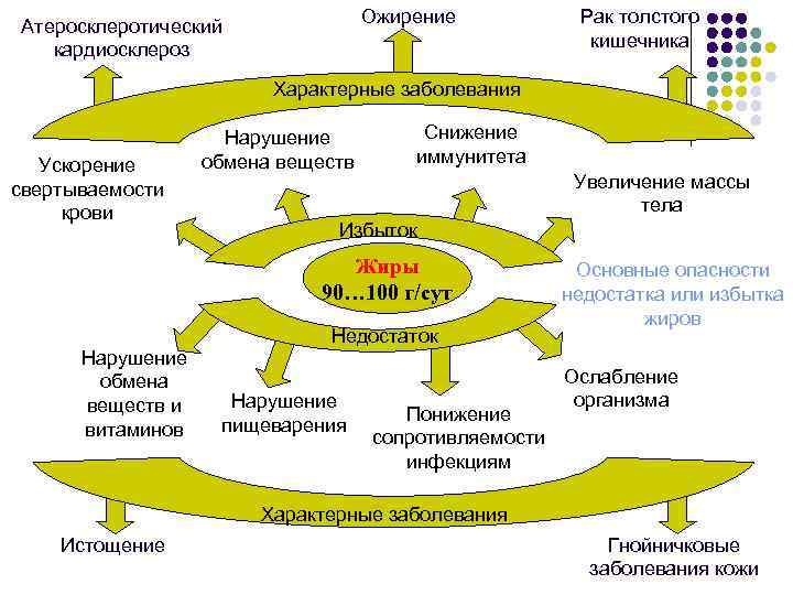 Ожирение Атеросклеротический кардиосклероз Рак толстого кишечника Характерные заболевания Ускорение свертываемости крови Нарушение обмена веществ