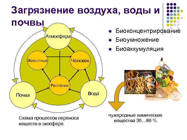 Загрязнение воздуха, воды и почвы l Атмосфера l l Биоконцентрирование Биоумножение Биоаккумуляция Человек Животные