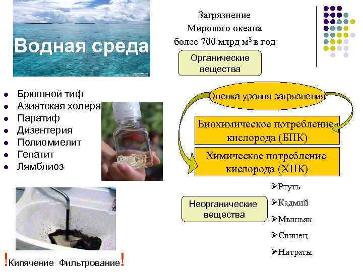 Водная среда l l l l Брюшной тиф Азиатская холера Паратиф Дизентерия Полиомиелит Гепатит