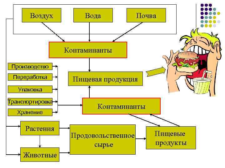 Современные требования к экологической безопасности продуктов питания проект