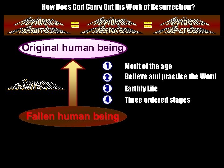 How Does God Carry Out His Work of Resurrection? Original human being __________ _