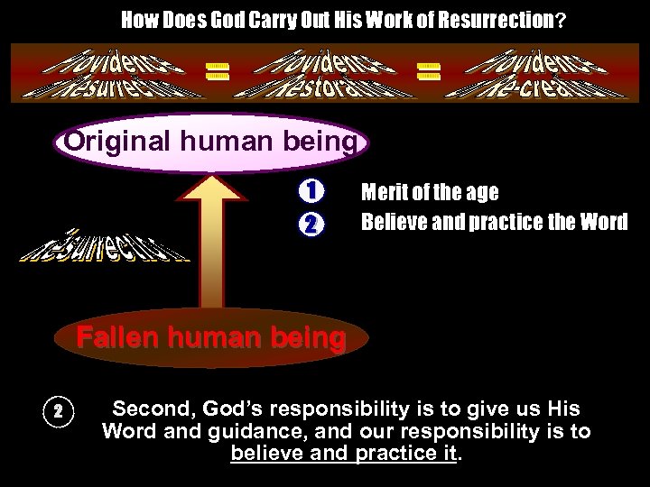 How Does God Carry Out His Work of Resurrection? Original human being __________ _