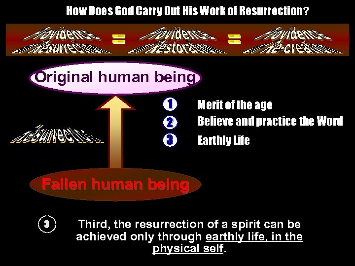 How Does God Carry Out His Work of Resurrection? Original human being __________ _