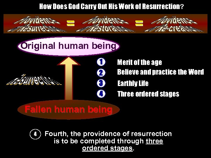 How Does God Carry Out His Work of Resurrection? Original human being __________ _