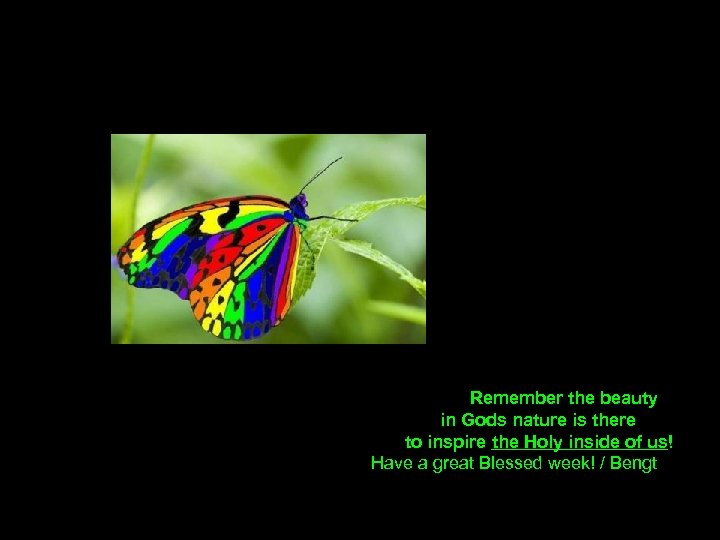  Remember the beauty in Gods nature is there to inspire the Holy inside