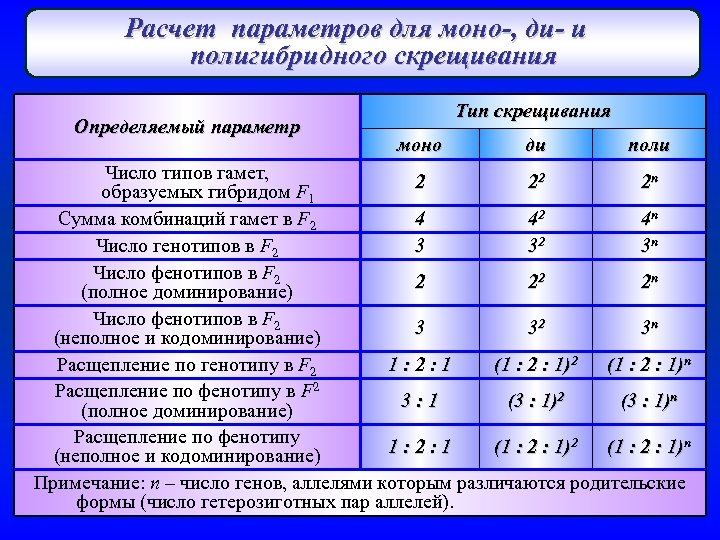 Расчет параметров для моно-, ди- и полигибридного скрещивания Определяемый параметр Тип скрещивания моно ди