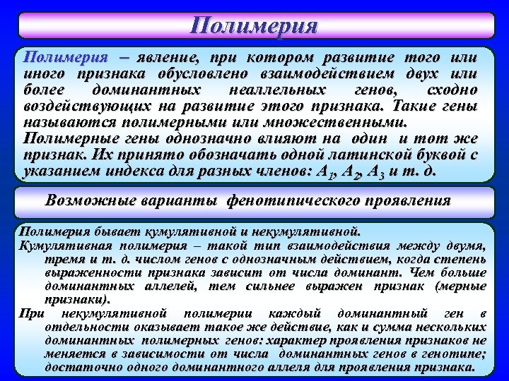 Полимерия явление, при котором развитие того или иного признака обусловлено взаимодействием двух или более