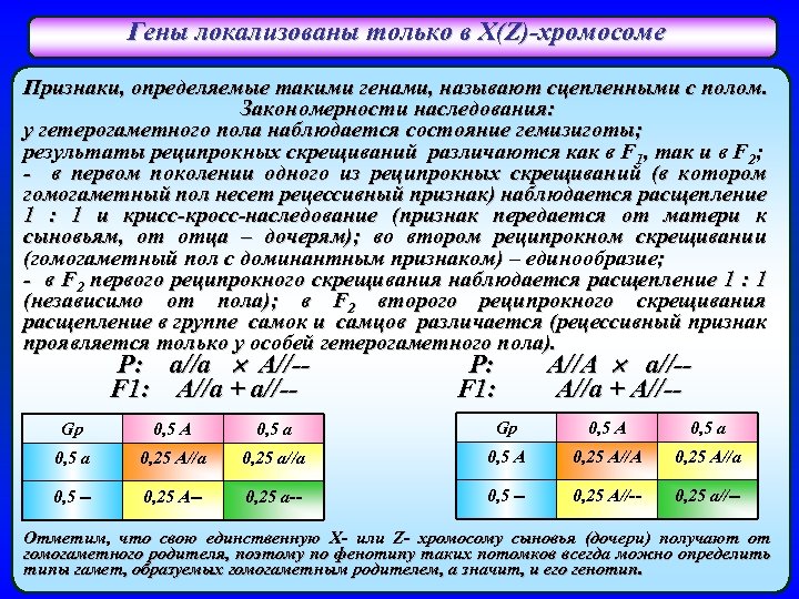 Гены локализованы только в Х(Z)-хромосоме Признаки, определяемые такими генами, называют сцепленными с полом. Закономерности