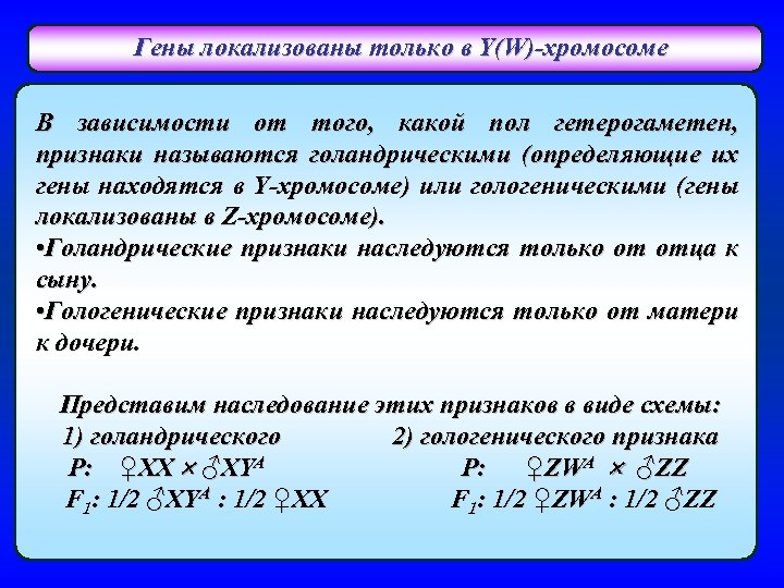 Гены локализованы только в Y(W)-хромосоме В зависимости от того, какой пол гетерогаметен, признаки называются