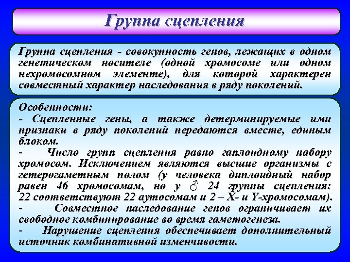 Группа сцепления - совокупность генов, лежащих в одном генетическом носителе (одной хромосоме или одном