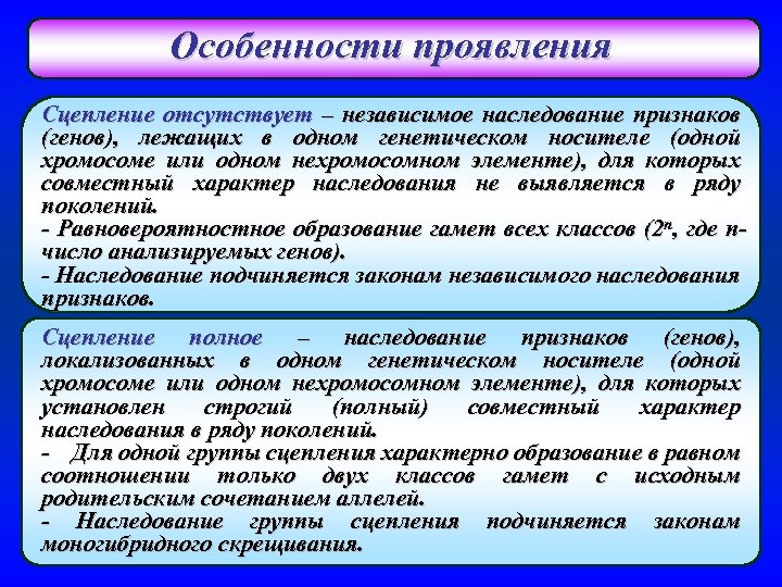Особенности проявления Сцепление отсутствует – независимое наследование признаков (генов), лежащих в одном генетическом носителе