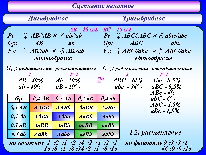 Сцепление неполное Дигибридное Тригибридное AB – 20 c. M, BC – 15 c. M