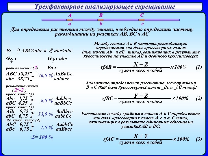 Трехфакторное анализирующее скрещивание A B C a b c Для определения расстояния между генами,