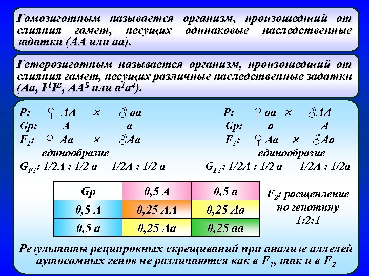 Гомозиготным называется организм, произошедший от слияния гамет, несущих одинаковые наследственные задатки (АА или аа).