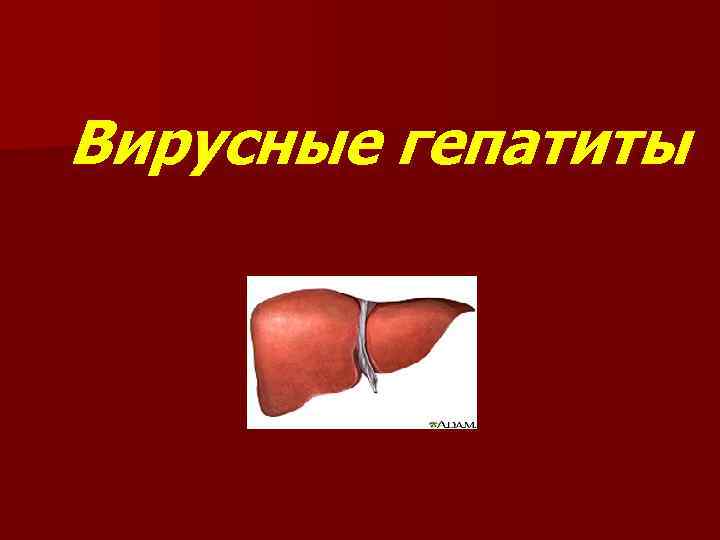 Вирусные гепатиты 