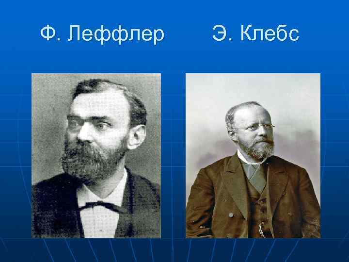 Ф. Леффлер Э. Клебс 