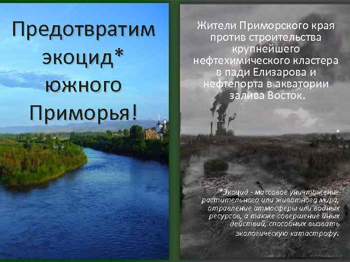 Предотвратим экоцид* южного Приморья! Жители Приморского края против строительства крупнейшего нефтехимического кластера в пади