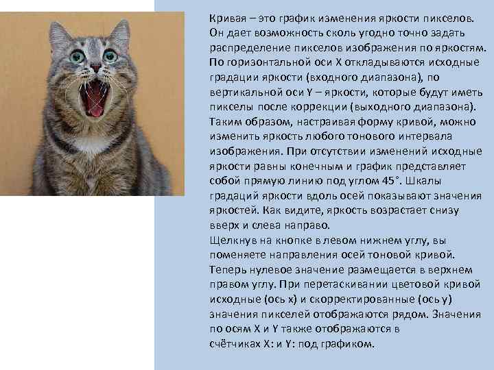 Кривая – это график изменения яркости пикселов. Он дает возможность сколь угодно точно задать