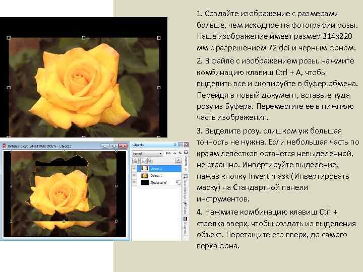 1. Создайте изображение с размерами больше, чем исходное на фотографии розы. Наше изображение имеет