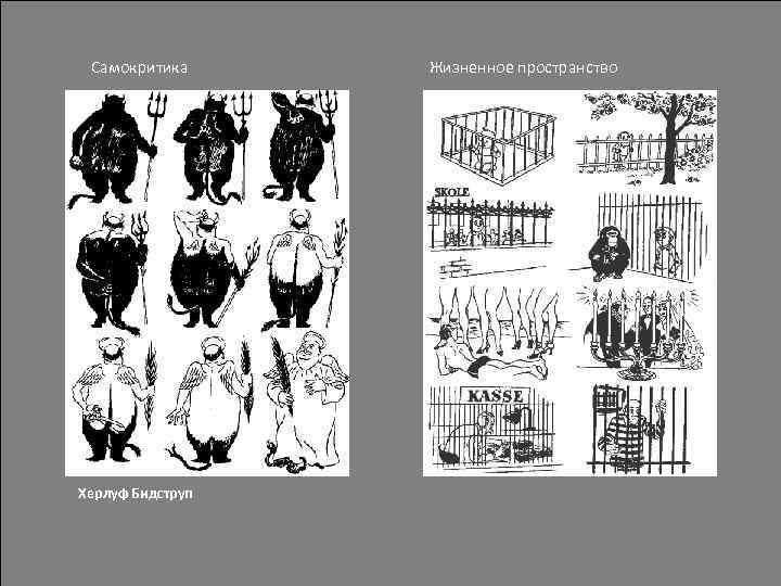 Самокритика Херлуф Бидструп Жизненное пространство 