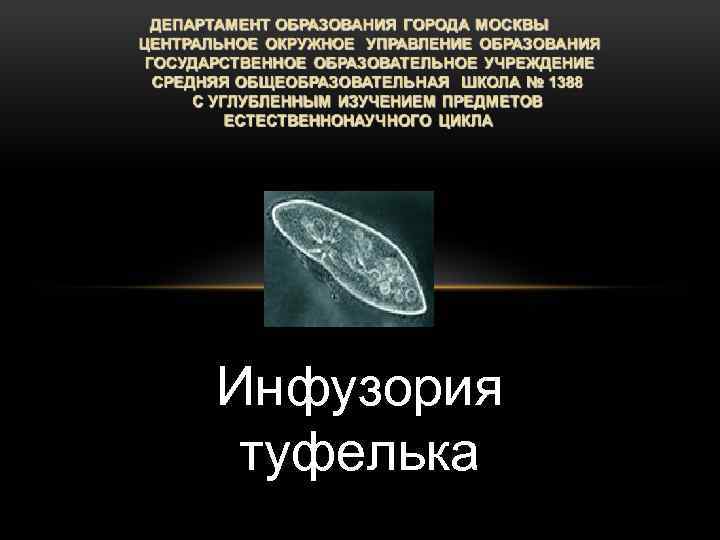 Какой тип питания характерен для инфузории туфельки изображенной на рисунке обоснуйте свой ответ