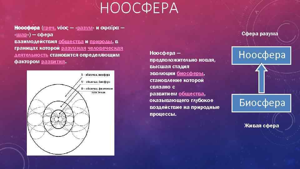 НООСФЕРА Ноосфе ра (греч. νόος — «разум» и σφαῖρα — «шар» ) — сфера