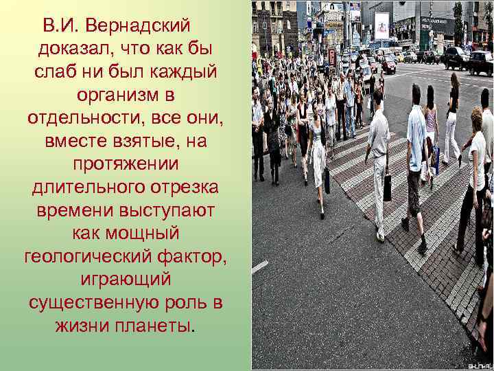 В. И. Вернадский доказал, что как бы слаб ни был каждый организм в отдельности,