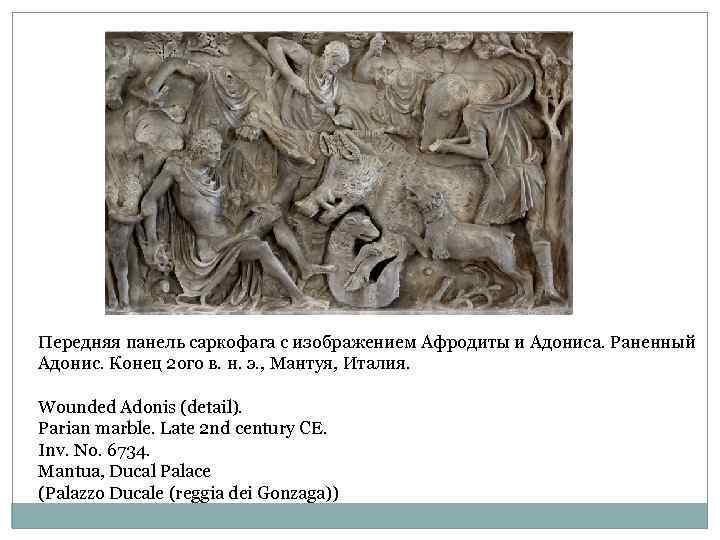Передняя панель саркофага с изображением Афродиты и Адониса. Раненный Адонис. Конец 2 ого в.