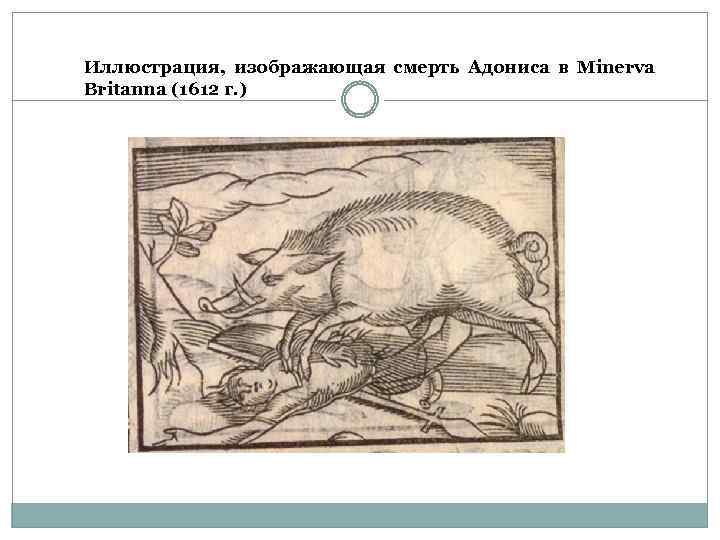 Иллюстрация, изображающая смерть Адониса в Minerva Britanna (1612 г. ) 