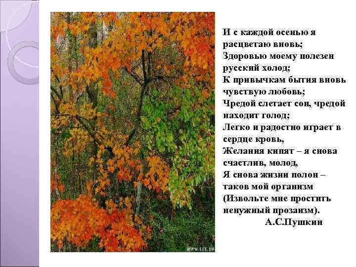И с каждой осенью я расцветаю вновь; Здоровью моему полезен русский холод; К привычкам