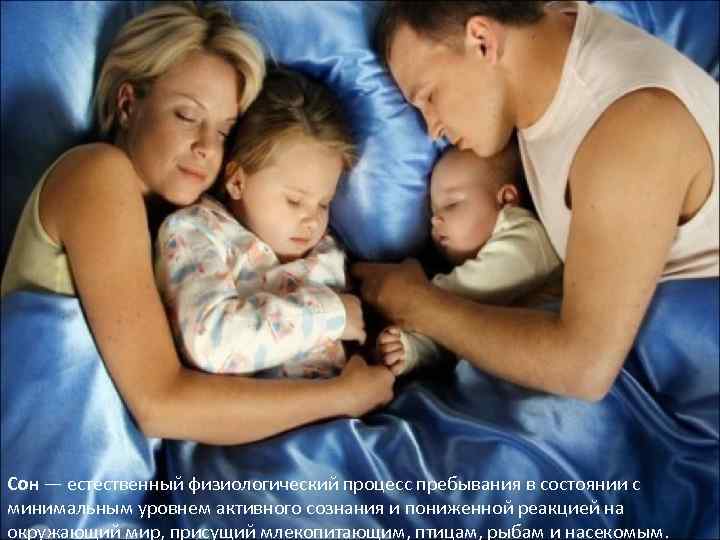 Сон — естественный физиологический процесс пребывания в состоянии с минимальным уровнем активного сознания и