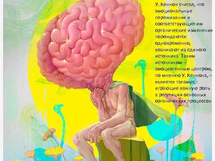 У. Кеннон считал, что эмоциональные переживания и соответствующие им органические изменения порождаются одновременно, возникают