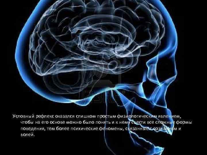 Условный рефлекс оказался слишком простым физиологическим явлением, чтобы на его основе можно было понять