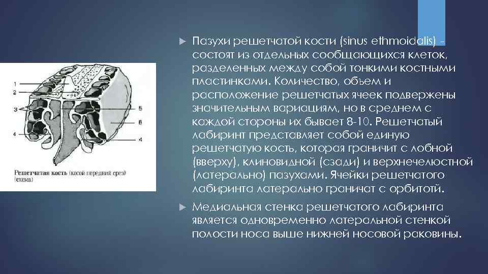 Изменения решетчатой кости