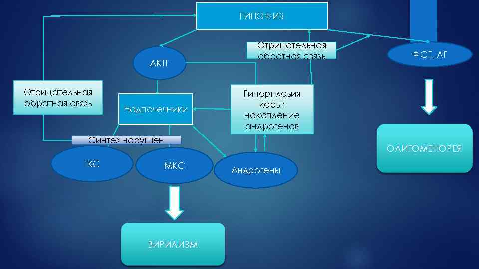 ГИПОФИЗ АКТГ Отрицательная обратная связь Надпочечники Отрицательная обратная связь Гиперплазия коры; накопление андрогенов Синтез