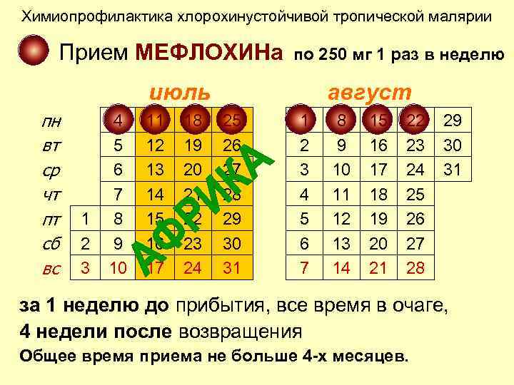 Химиопрофилактика хлорохинустойчивой тропической малярии Прием МЕФЛОХИНа по 250 мг 1 раз в неделю июль