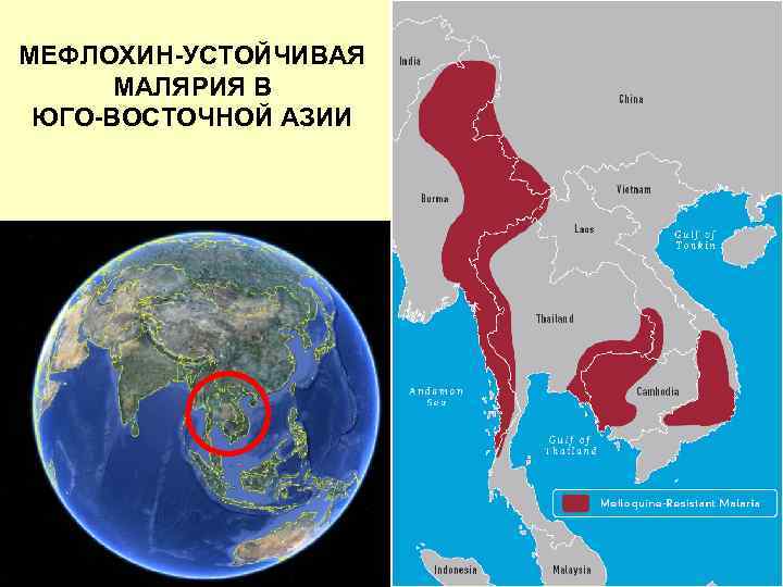 МЕФЛОХИН-УСТОЙЧИВАЯ МАЛЯРИЯ В ЮГО-ВОСТОЧНОЙ АЗИИ 