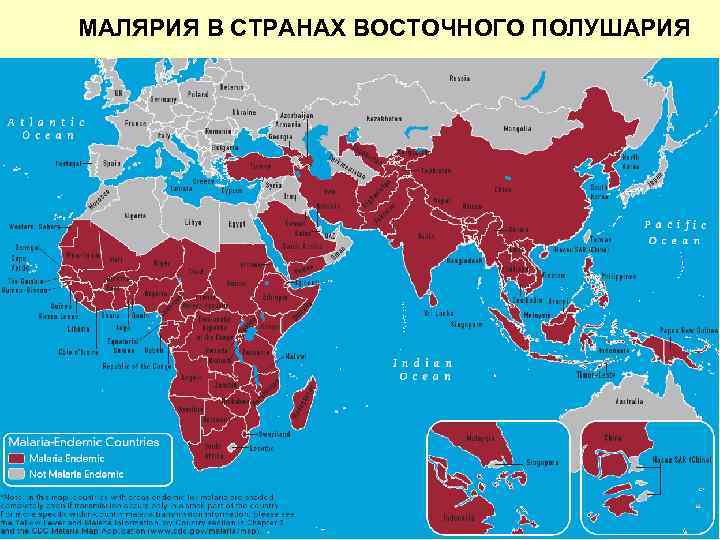 МАЛЯРИЯ В СТРАНАХ ВОСТОЧНОГО ПОЛУШАРИЯ 