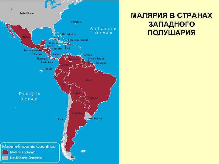 МАЛЯРИЯ В СТРАНАХ ЗАПАДНОГО ПОЛУШАРИЯ 