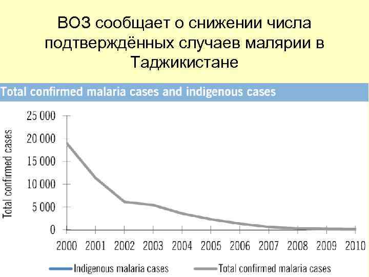 ВОЗ сообщает о снижении числа подтверждённых случаев малярии в Таджикистане 