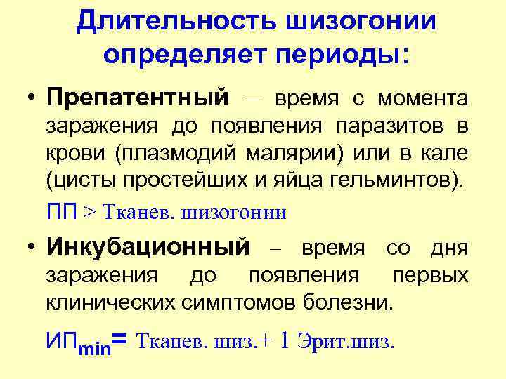 Длительность шизогонии определяет периоды: • Препатентный — время с момента заражения до появления паразитов