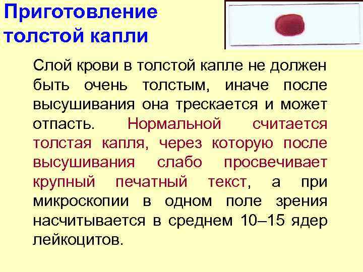 Приготовление толстой капли Слой крови в толстой капле не должен быть очень толстым, иначе